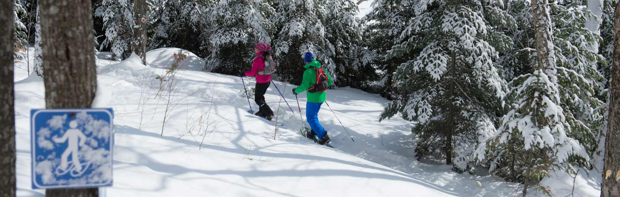 Les meilleurs endroits pour faire du ski de fond