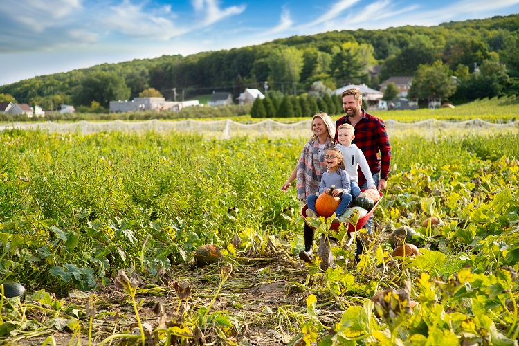 Centre d'interprétation de la Courge