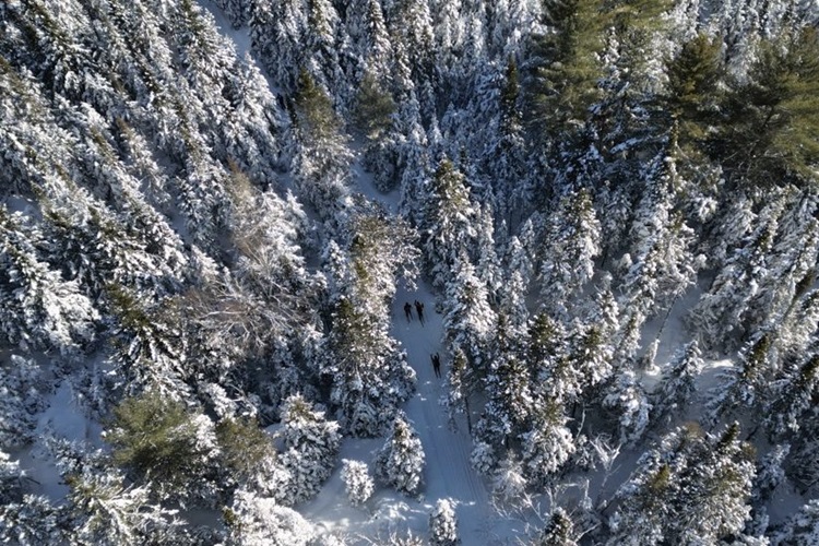 Les Routes Blanches