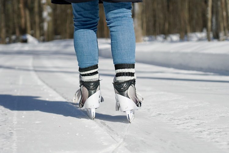 Patin parc régional Bois de Belle-Riviere